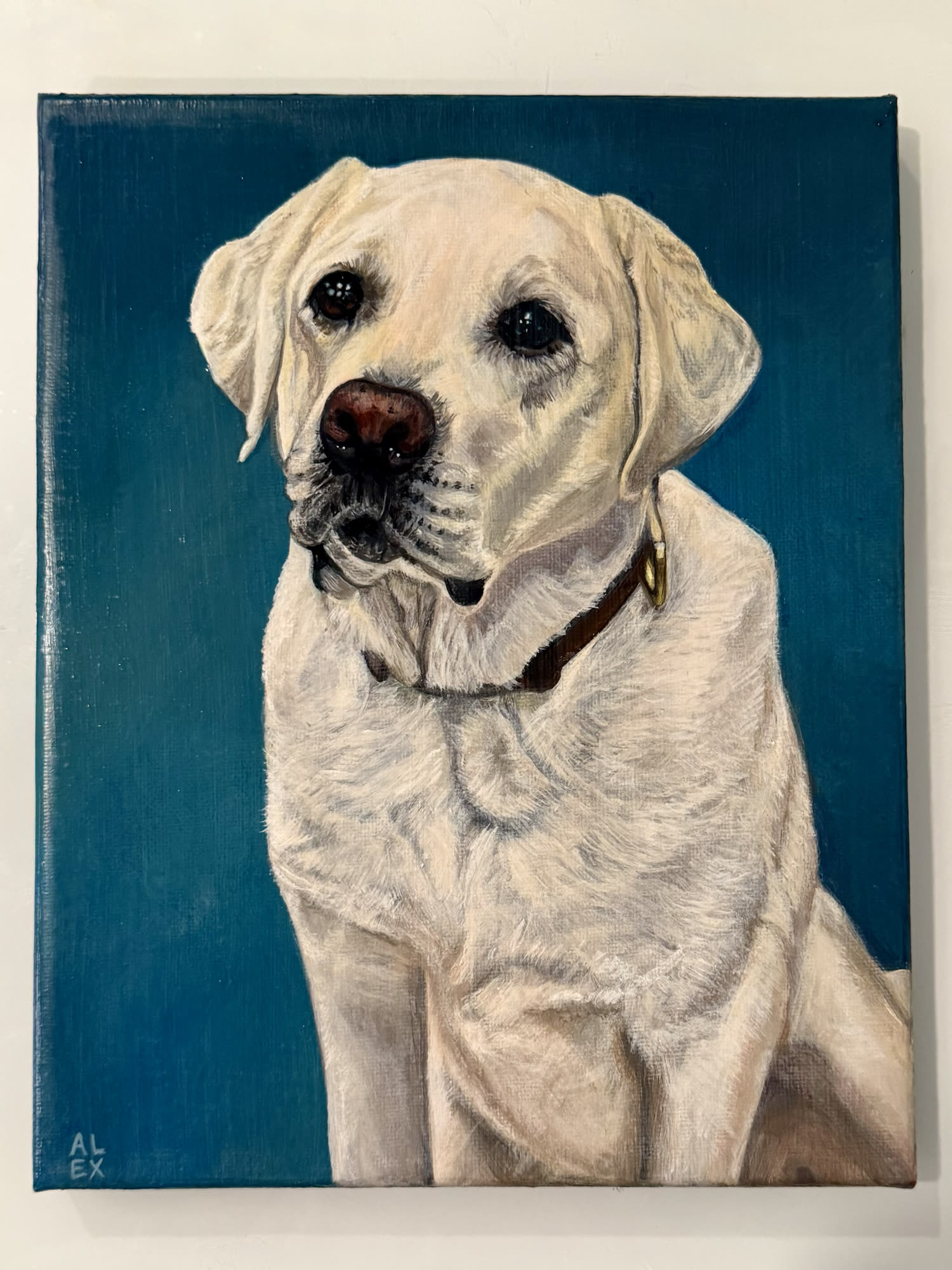Painted portrait of a yellow Labrador on a deep blue background