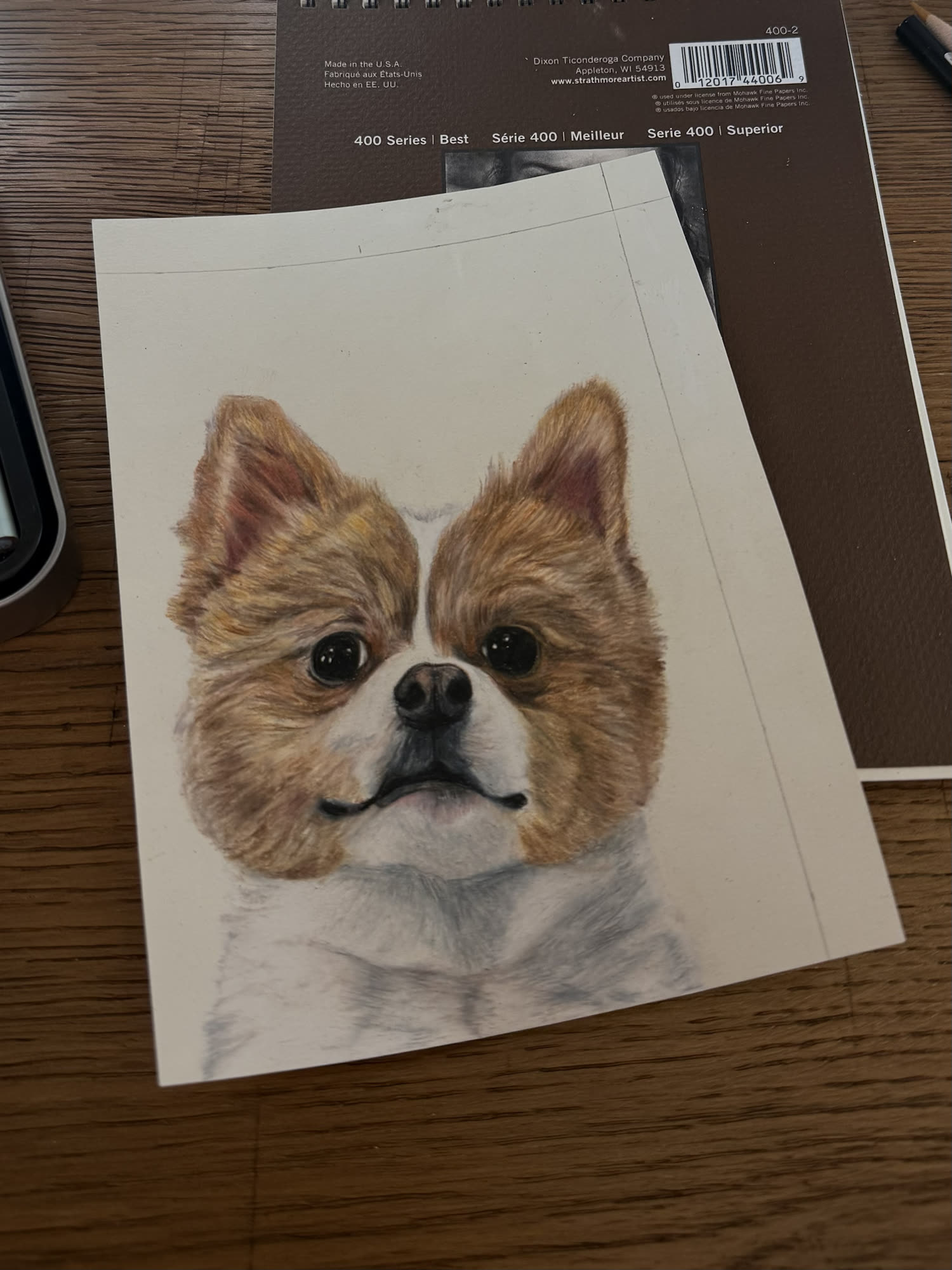 Drawn portrait of a small brown and white dog in progress on an artist's worktable